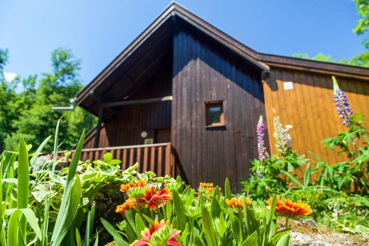 Chalets De La Wormsa Metzeral Bagian luar foto