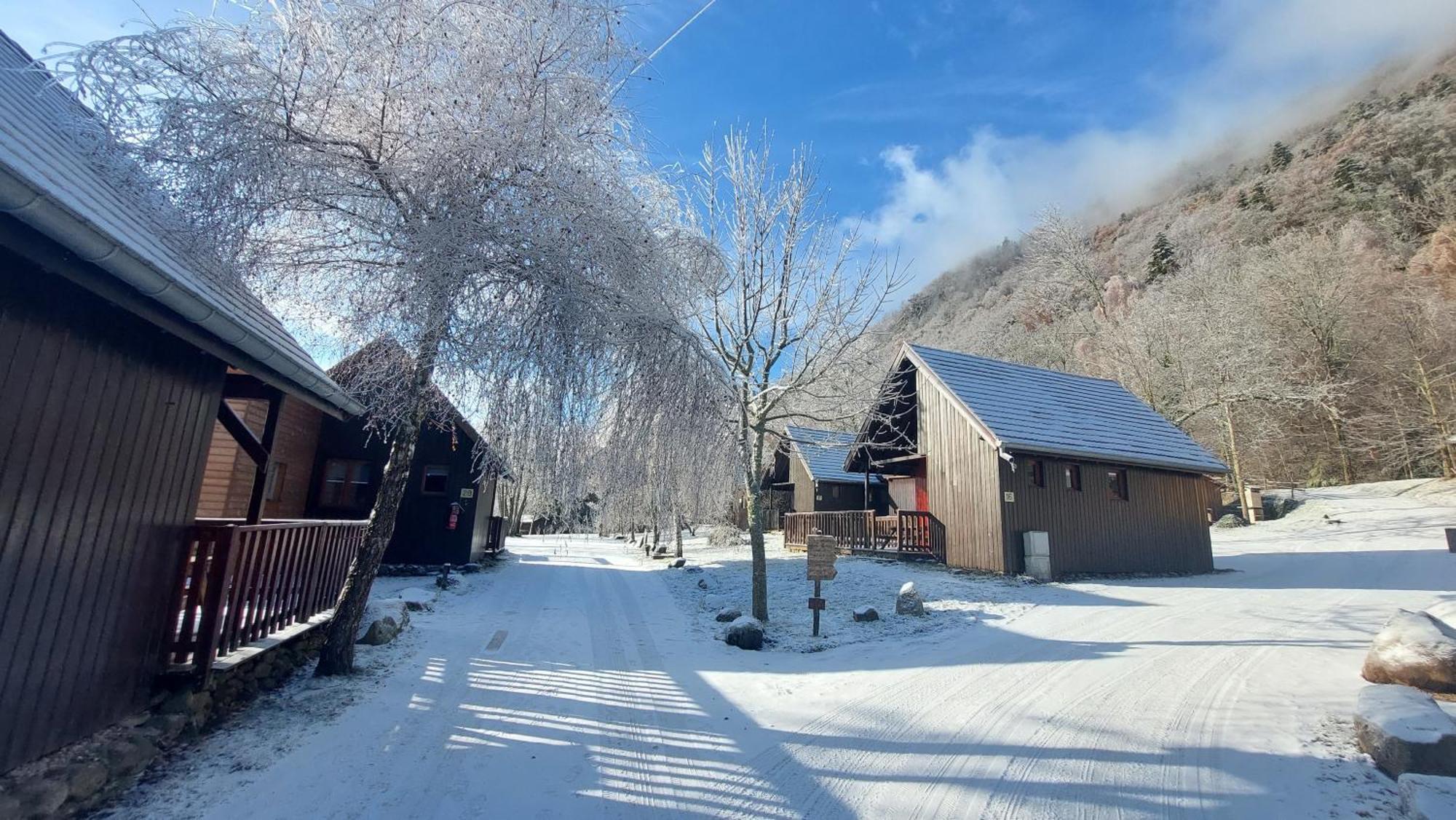Chalets De La Wormsa Metzeral Bagian luar foto