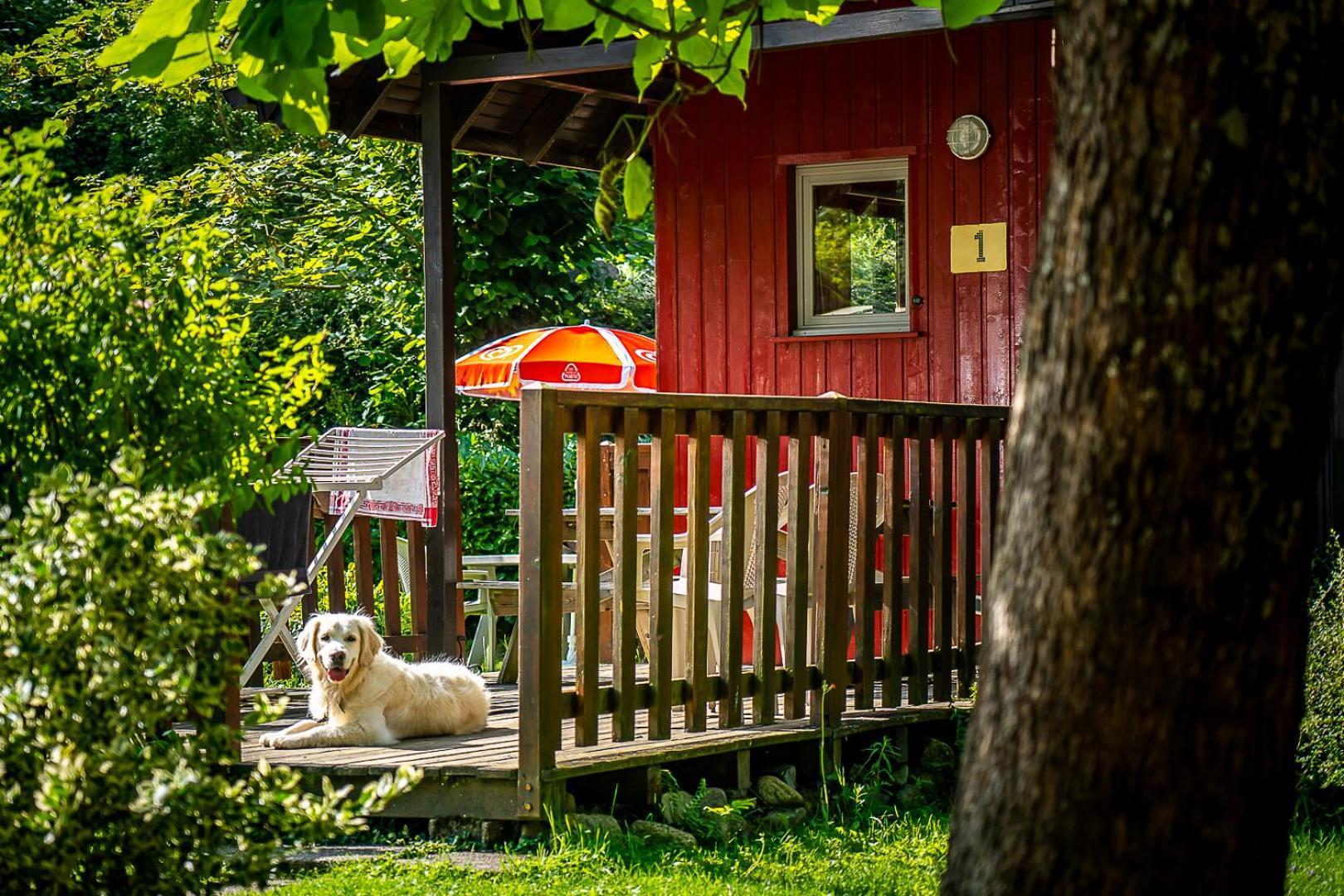 Chalets De La Wormsa Metzeral Bagian luar foto